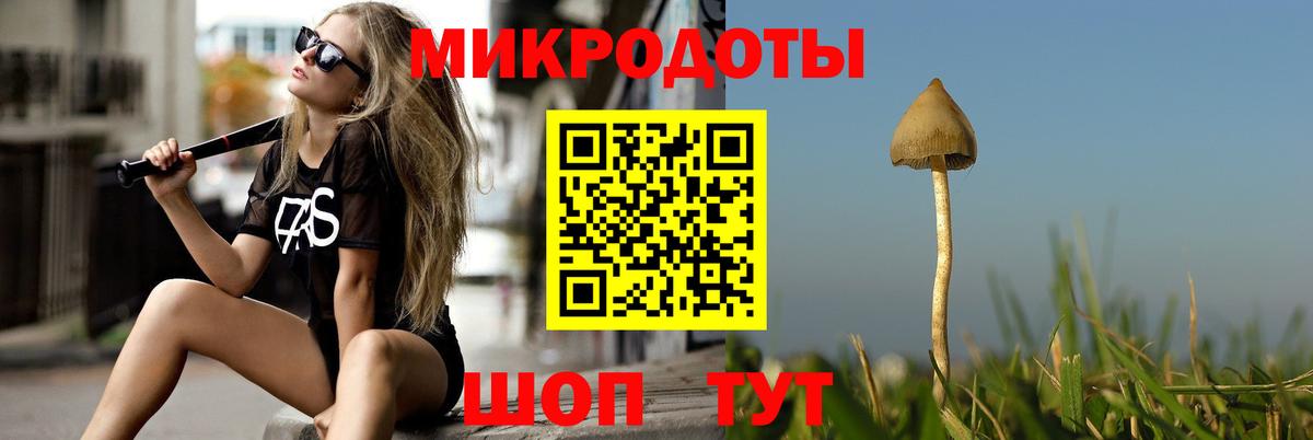 Псилоцибиновые грибы Psilocybine cubensis Урай